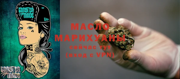 индика Инсар