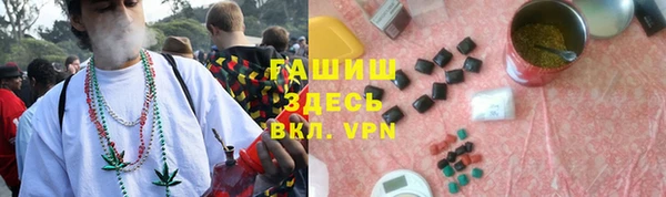 метадон Инта
