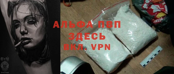 индика Инсар