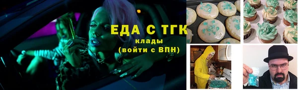 индика Инсар