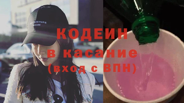 индика Инсар