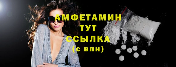 индика Инсар