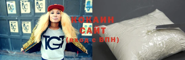индика Инсар
