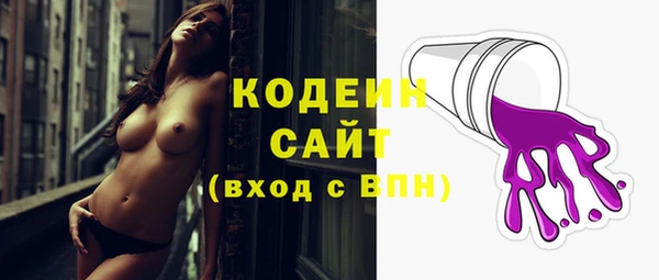 индика Инсар