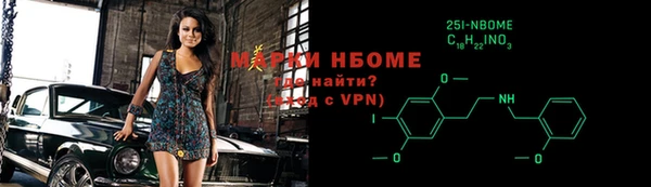 индика Инсар