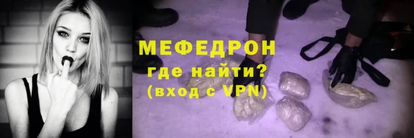 индика Инсар