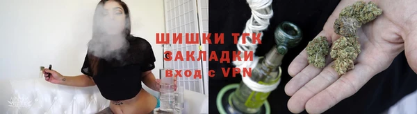 индика Инсар