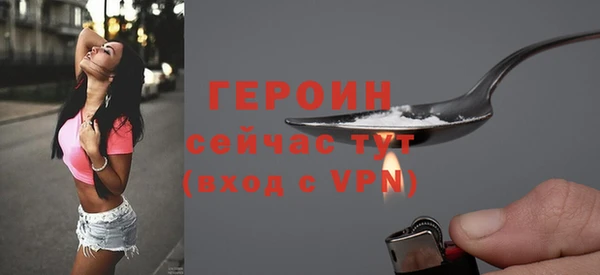 индика Инсар