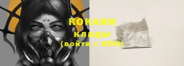 метадон Инта