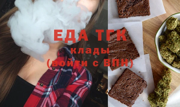 индика Инсар