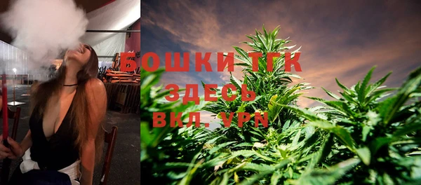 метадон Инта