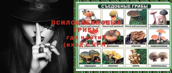 индика Инсар