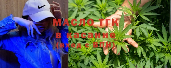 индика Инсар