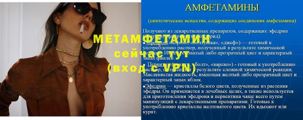 индика Инсар