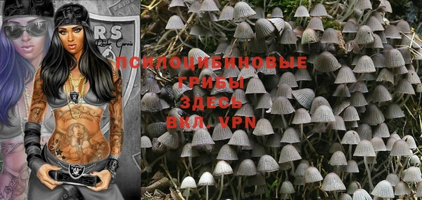 кокс Иннополис