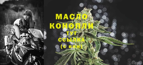 метадон Инта
