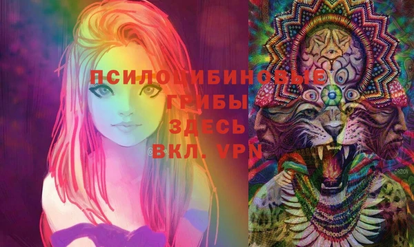 индика Инсар