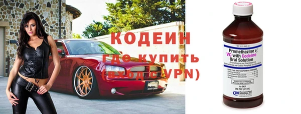 индика Инсар