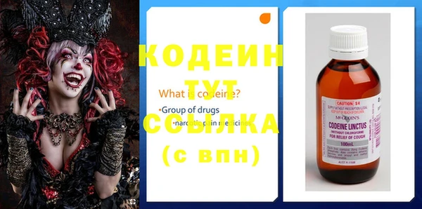 индика Инсар