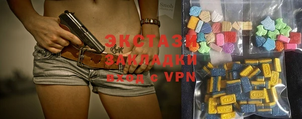 индика Инсар
